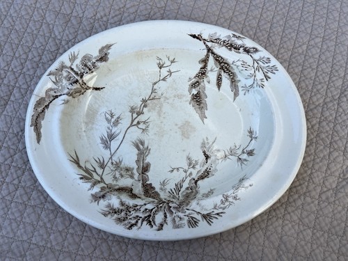 Antique wedgwood brown - wedgwood,