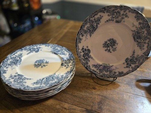 Royal staffordshire arcadia - 9,