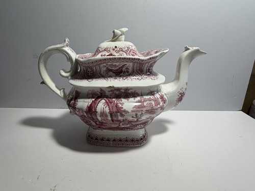 Staffordshire pink - staffordshire,